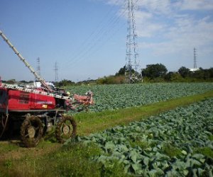 赴日本技能實習生—農業